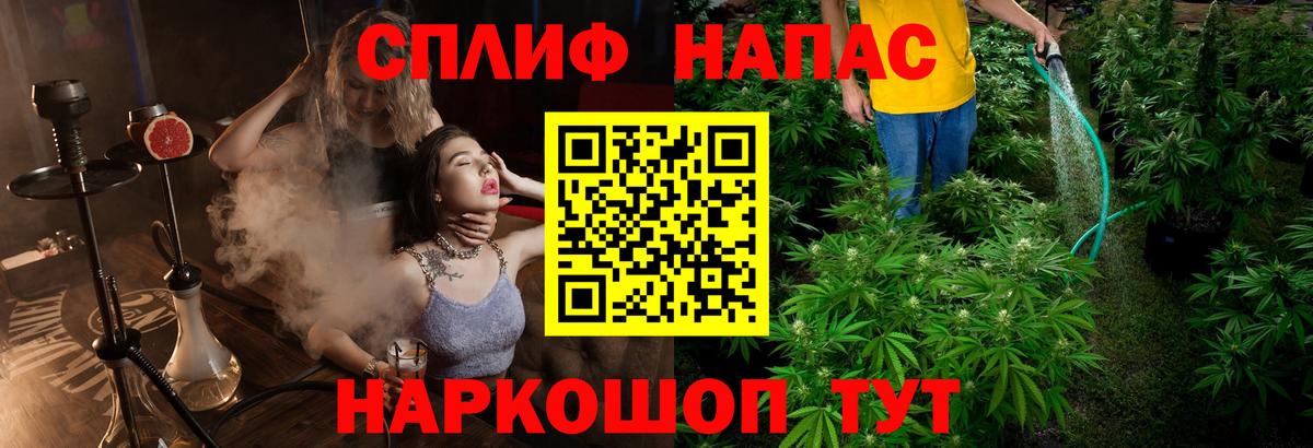 Каннабис SATIVA & INDICA Советский